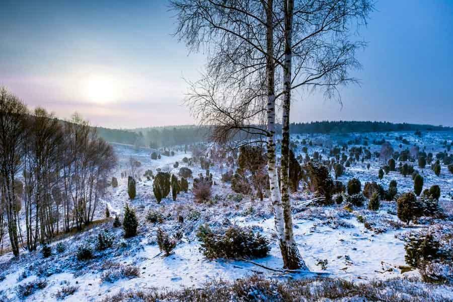 Ferienwohnung Im Auetal - Wohnung I Ханштедт Экстерьер фото